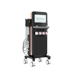 14in1  Hydra Facial Machine
