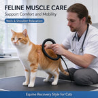 PM-1H PEMF Pulse High-Frequency Electromagnetic Therapy EMTT